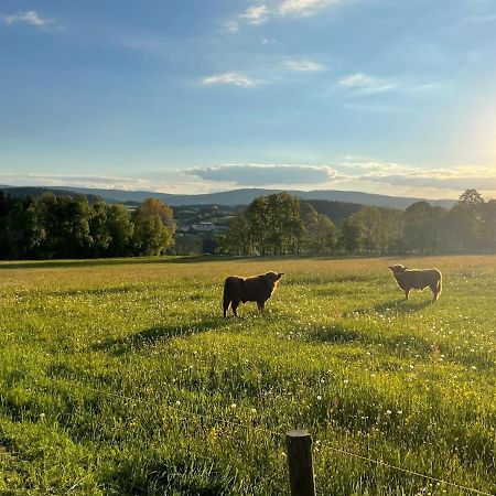 Apartmany Sumavanek Zdíkov Exteriör bild