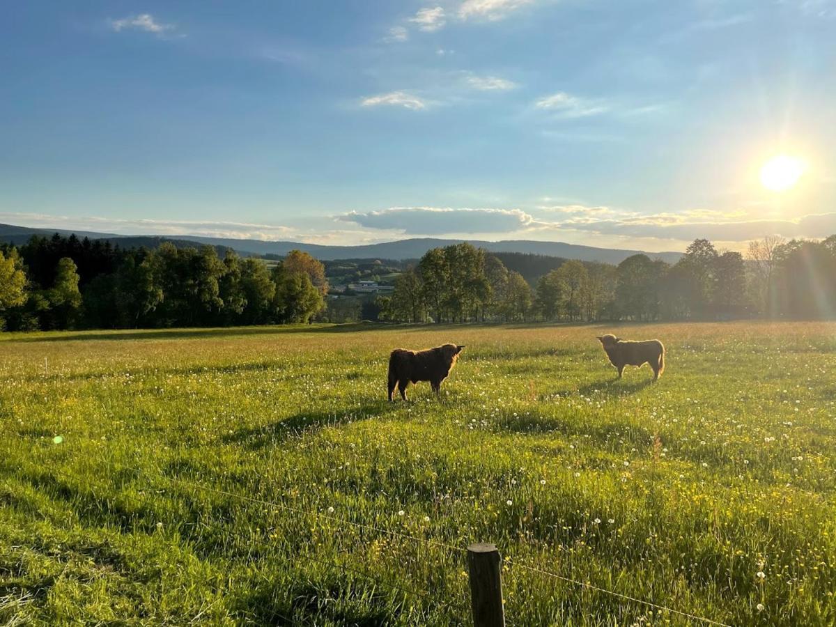 Apartmany Sumavanek Zdíkov Exteriör bild